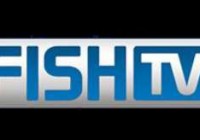 AZBOX CINEBOX DUOSAT SATELITES TOCOMSAT 